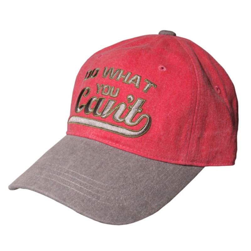 SLEEPYSLIP BB DO WHAT CHERRY/GRAY BALL CAP