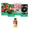 50ML Plant Nutrient Promote Sprouting Rapid Flowering Fast Potting Rooting Plant Nutrient Solution Supplement Garden Tool