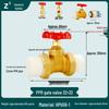 Full Copper Gate Valve for PPR, PE, and Tap Water Pipes - 20mm, 25mm, 32mm Double Union, Hot Melt Compatible.