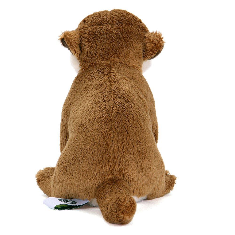 Calorata Meerkat Plush Toy (Sitting Series/Soft Touch) Realistic Animal Toy Doll Gift Present Birthday (Twice Tested) / Christmas Present