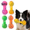 Dumbbell Shaped Dog Toys Squeaky Toy, Vinyl Chew Spiky Teeth for Puppies Cleaning Toy Small Large Dogs Interactive Play Oral Health Safe Non-Toxic