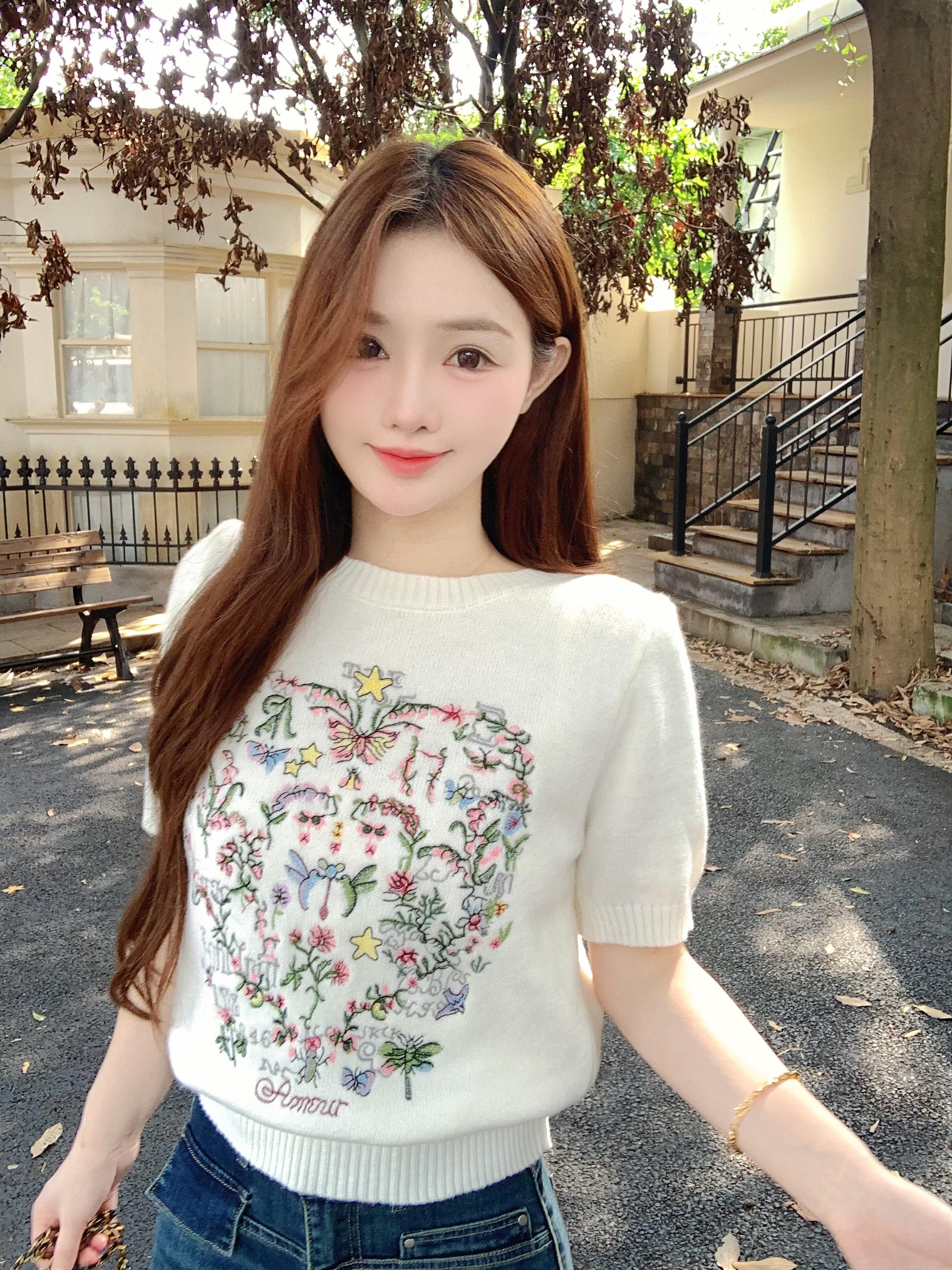 Korean atmosphere autumn and winter wear 2025 new sweater women s knitted short sleeves bubble sleeves embroidered wool S