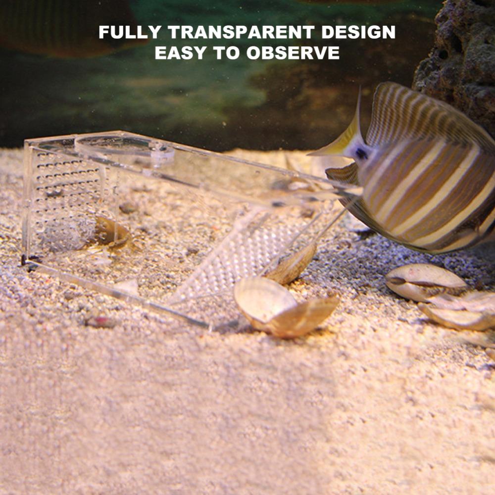 Transparent Fish Tank Trap Acrylic One Way Trap Durable Shrimp Catcher Reptile Terrarium