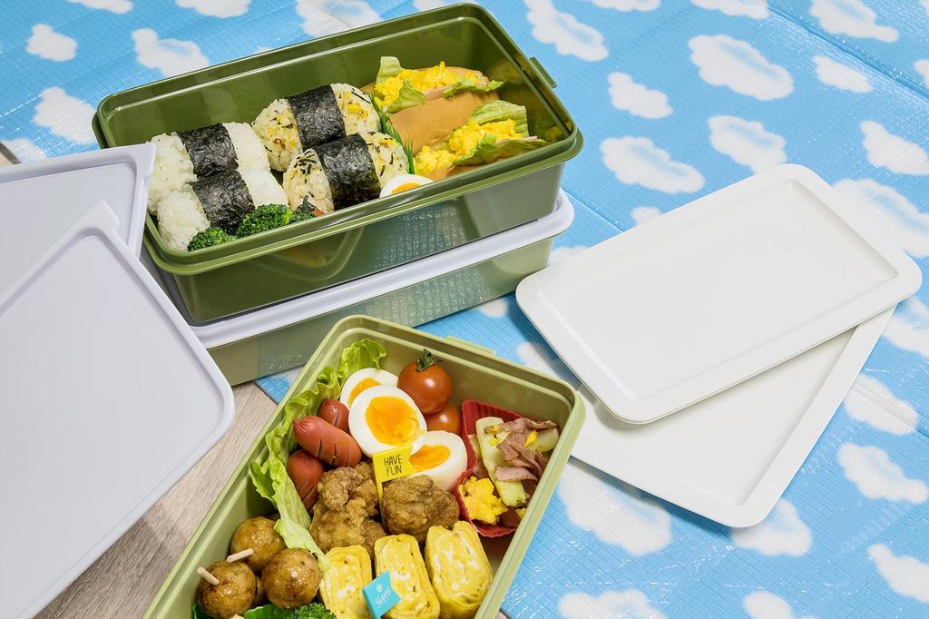 Sanko Plastic Bento Case with 3 Side Earth W x D x 22cm H Box/Picnic Plates, Green, 116772, Approx. 26.5cm 15.5cm