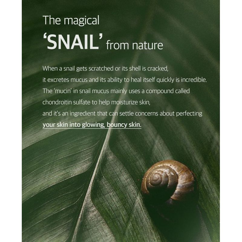 MIZON - Snail Holiday Set