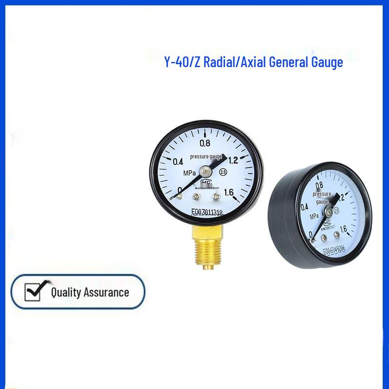 Qingwa Y40 Pressure Gauge