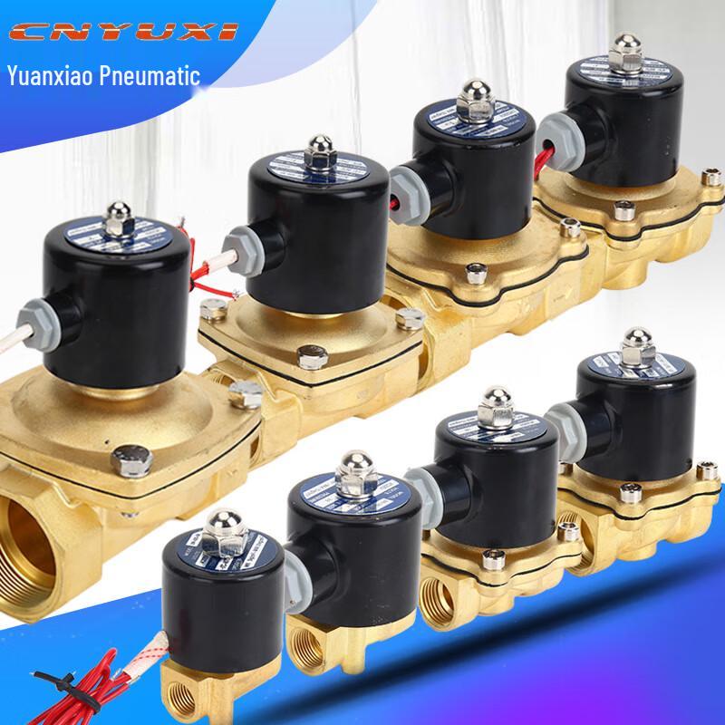 Zhongxiong Copper Body Normally Closed Solenoid Valve