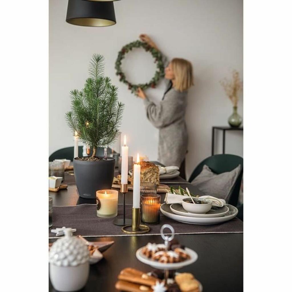 Plant Pot Lechuza Grey Polypropylene Circular