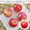 YUWENW Food Sample Apples, 5 Pieces, Life-Size Artificial Fruit, Realistic Fake Fruit Figurine, Model, Display, Interior Decoration, Replica, New