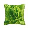 Lettuce Closeup Square Pillowcase Cushion Cover Pillow Case Throw Pillow Cover for Home Bedroom Car