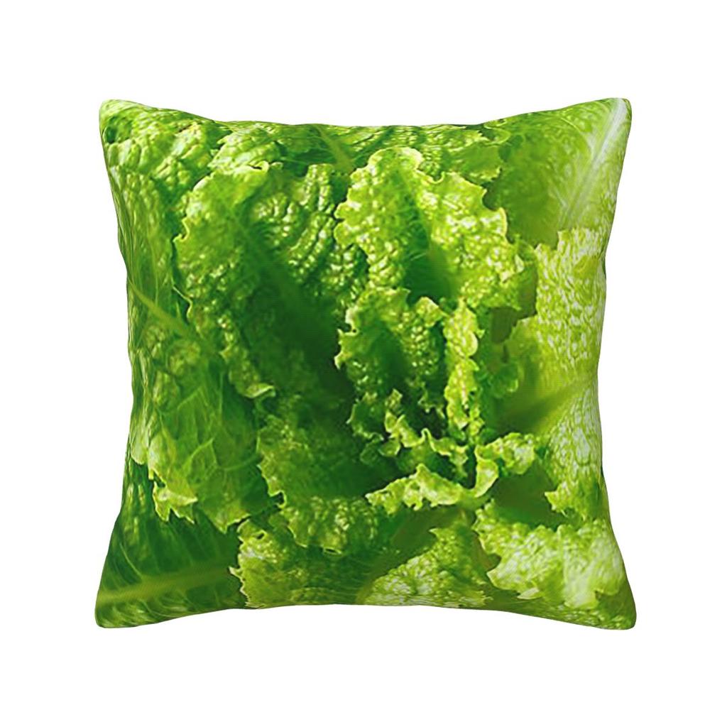 Lettuce Closeup Square Pillowcase Cushion Cover Pillow Case Throw Pillow Cover for Home Bedroom Car