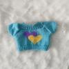 Plush Teddy Dolls & Accessories: Rag Dolls, Matching Clothes, Replacement Apparel, Sweaters, Hoodies, and More