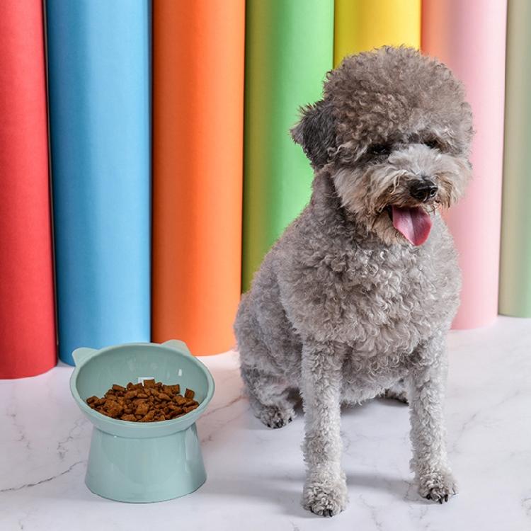 Raised Cats Food Bowls with Stand Cats Dish for Food or Water Tilted Feedi