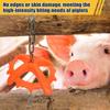Livestock Bite Toy Livestock Anti-fight Toys Entertainment Equipment With Chain For Home Farm Consume Excess Energy