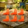 20pcs Small Size Queen Bee Cages Plastic Protective Bee Cage Sturdy Beekeeping Tool  Apiary