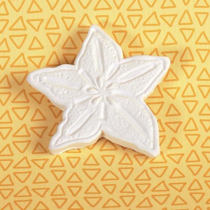 Objet en plâtre Tropical Carambole - Graine créative Blanc