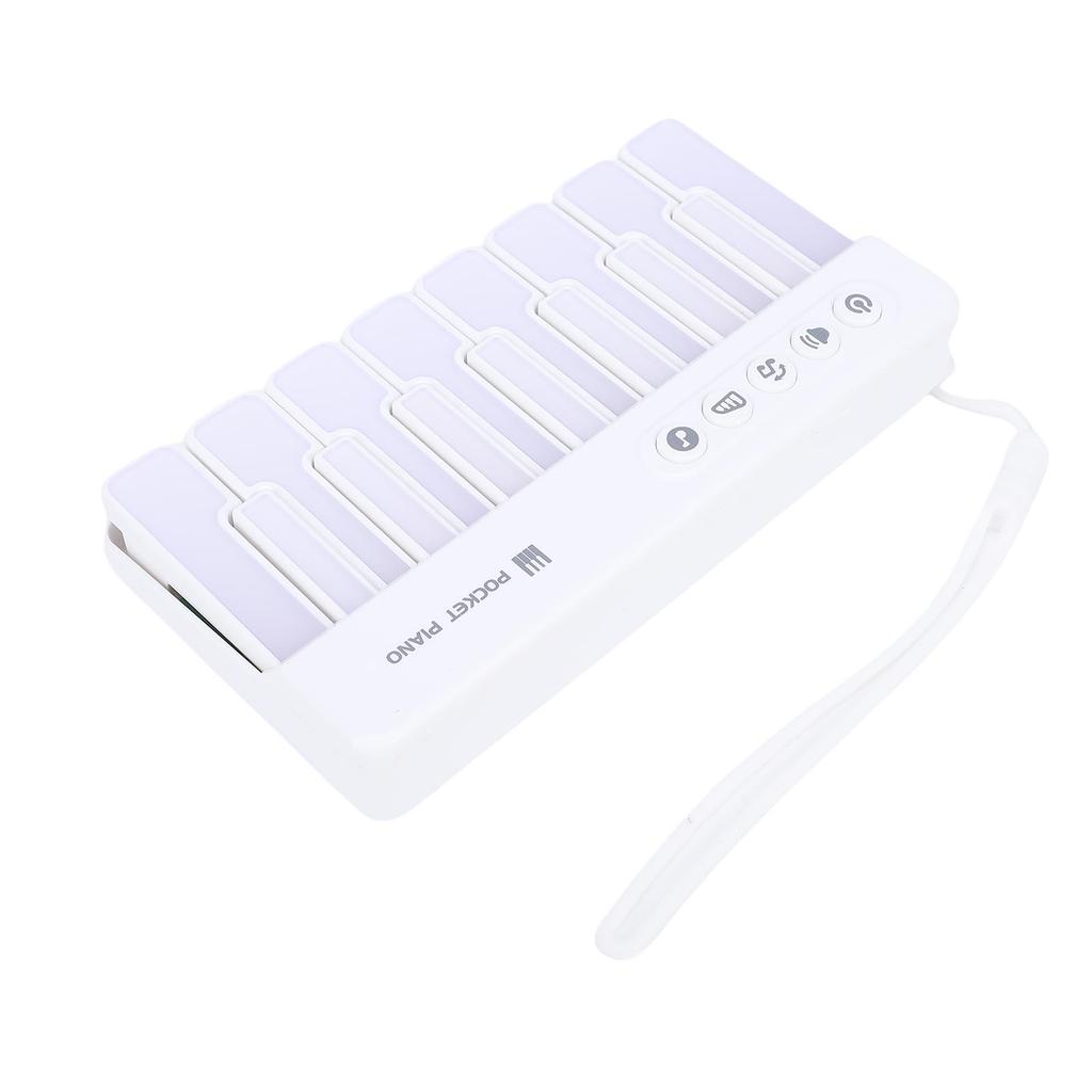 Light Up Piano Keyboard Toy Music Interactive Toddler Musical Toy Battery Powered for 3 to 8 Years Old Kids