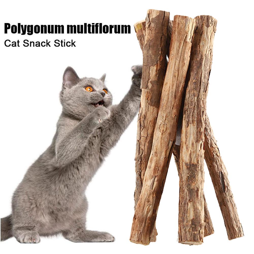 5-50pcs Catnip Stick Pet Cat Molar Toys Natural Wood Polygonum Sticks Cleaning Teeth Relieve Boredom Snacks Chews Toys