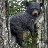 Black Bear Cub Home Decoration Garden Branch Animal Decoration Resin Craft Ornament Outdoor Garden Tree Trunk Black Bear