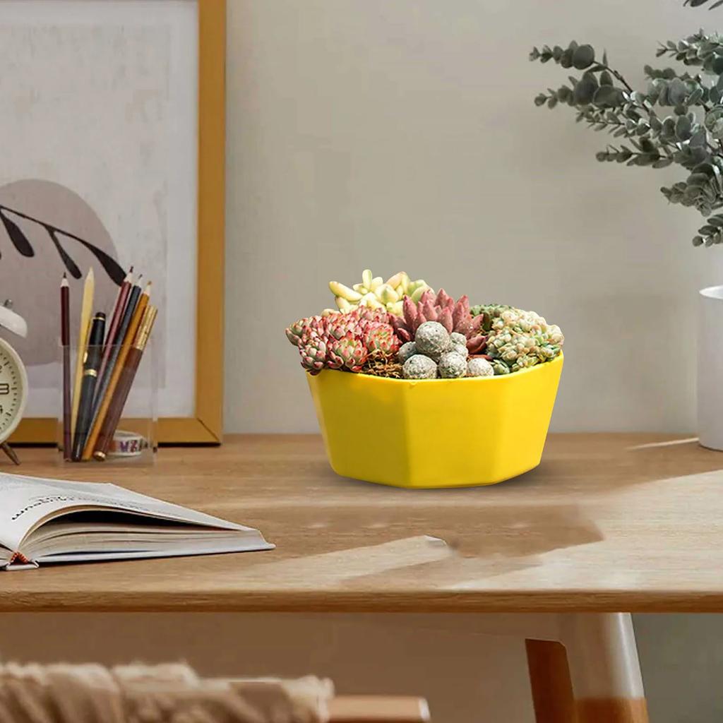 1/3/4pcs Morden Decorative Creation Flower Pots and Planter with Tray for Indoor Outdoor Garden House PlantsAfrican Variety