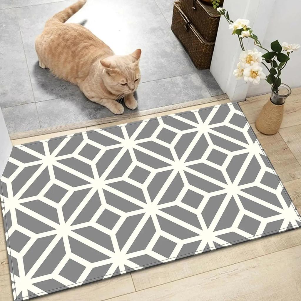 PVC Diatomaceous Earth Floor Mat Kitchen Oil-proof Waterproof Non-slip Non-washable Carpet Entry Can Be Cut Scrub Mats