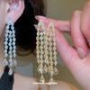 Silver Needle Geometric Zirconia Water Drop Tassel Earrings - Luxury High-End Style Niche Fashion Stud Accessories