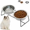 Durable Anti Slip Dog Food Bowl 9°Tilted Angle Large Caliber Elevated Cat Bowl Detachable Double Bowl Pet Bowl Pet Supplies