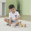 PolarB Polar B Hedgehog Sorting Pull Birthday Shape x x cm Toy, Gift, Matching, TYPR44025, 20.2 9.7 16.3 (x 1)