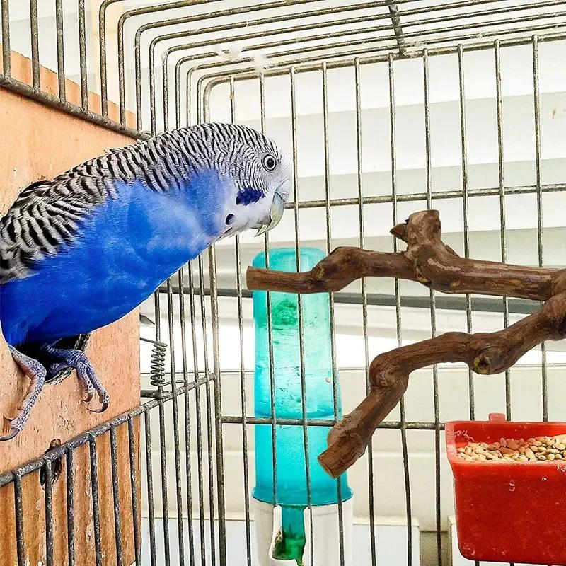 Pet Standing Stick Wild Grape Wood Pole Parrot Cockatiel Parakeet Station Board Bite Claw Grinding Toy Bird Cage Accessories 5