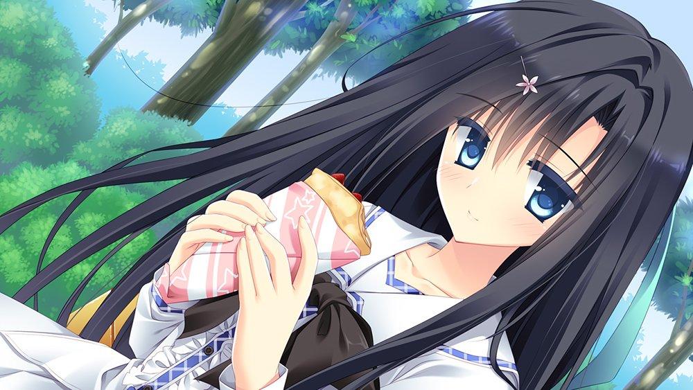 PriministAr Completely Limited Edition Original special pass case PS Vita -Primini Star- ([Bonus] soundtrack, included) -