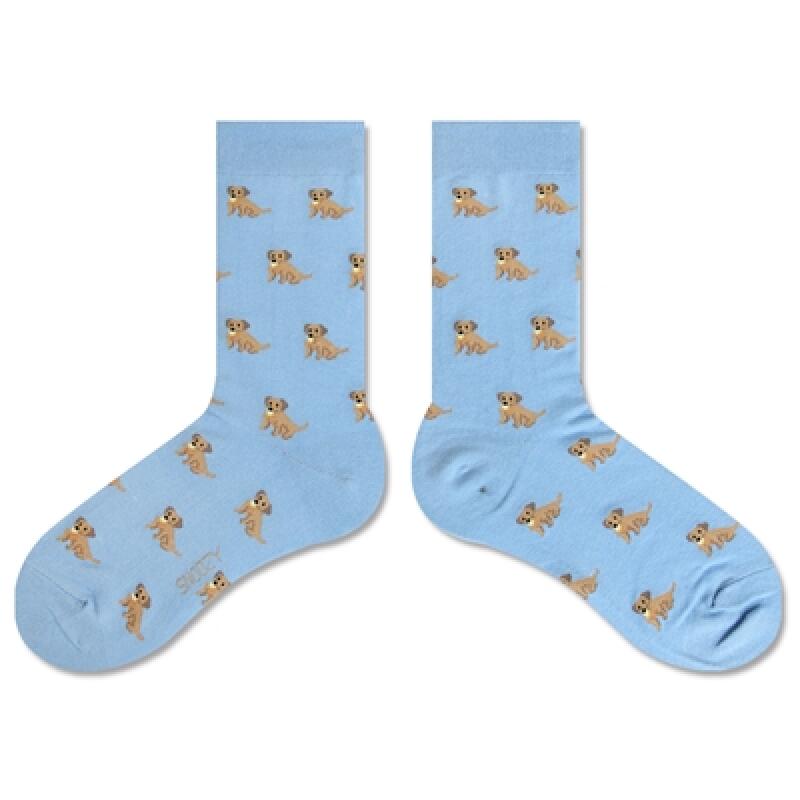 PI-Sky Blue (Retriever)