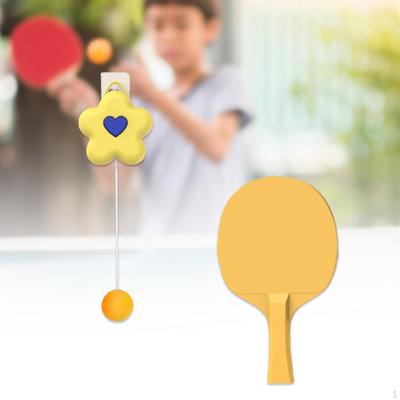 Höhenverstellbarer Indoor-Tischtennistrainer zum selbstständigen Üben ohne
