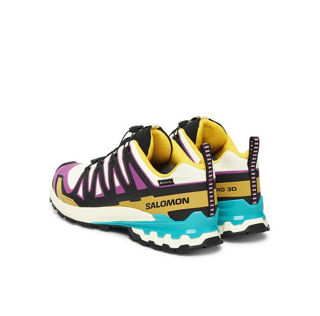 Треккинговые ботинки Salomon Xa Pro 3D V9 Gore-Tex