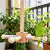 Funny Perches Toy with Rotating Ball Wooden Parrots Ferris Wheel Toy with Perches Windmills Toy For Parakeets Cockatoos