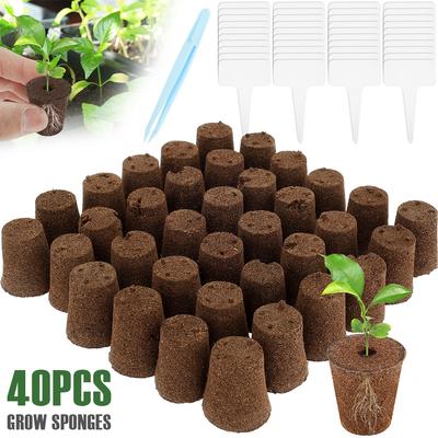 40 Stuks Zaad Kweek Sponzen Tuin Hydroponische Zaailing Starter Sponzen met Plantenlabels & Pincet Vervangende Wortelgroei Sponzen