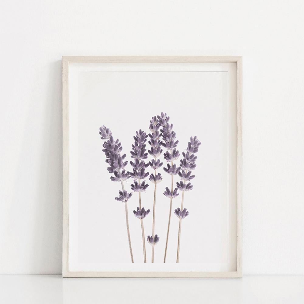 Nordic Style Lavender Botanical Posters Botanical Canvas Painting Farmhouse Wall Art Pictures for Living Room Home Decoration