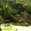 Creative Aquarium Fish Tank Landscape Decoration Products Pirate Sunken Ship Retro Resin Personalized Home Decorations Ornaments