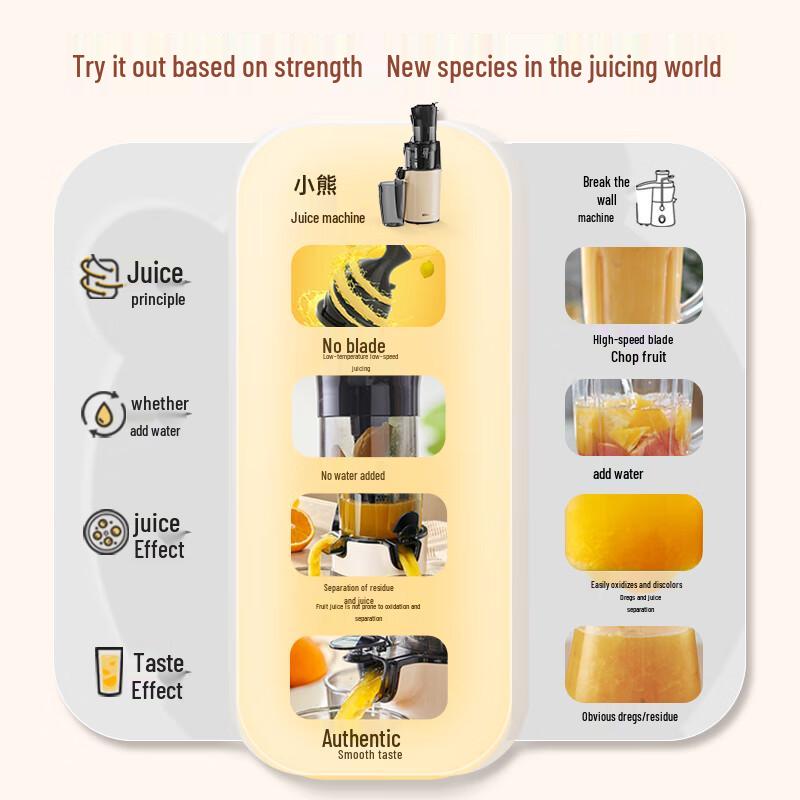 Bear Cold Press Juicer CN plug (adapter included)