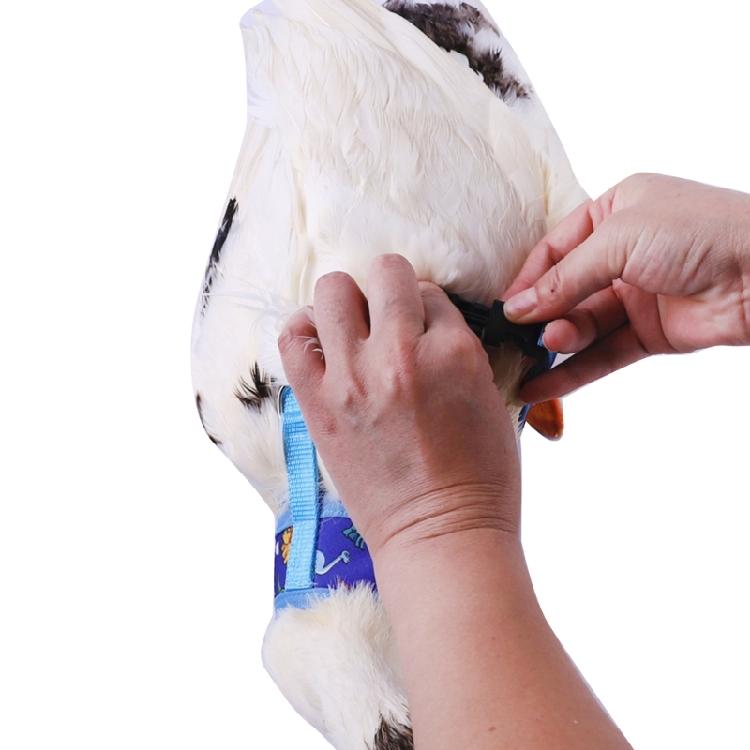 Rabbit Harness and Leash Small Animal Clothes for Rabbit Duck Small Animal