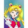 Painting by Numbers with Frame Paintings To Paint Sailor Moon 40X50 Cm