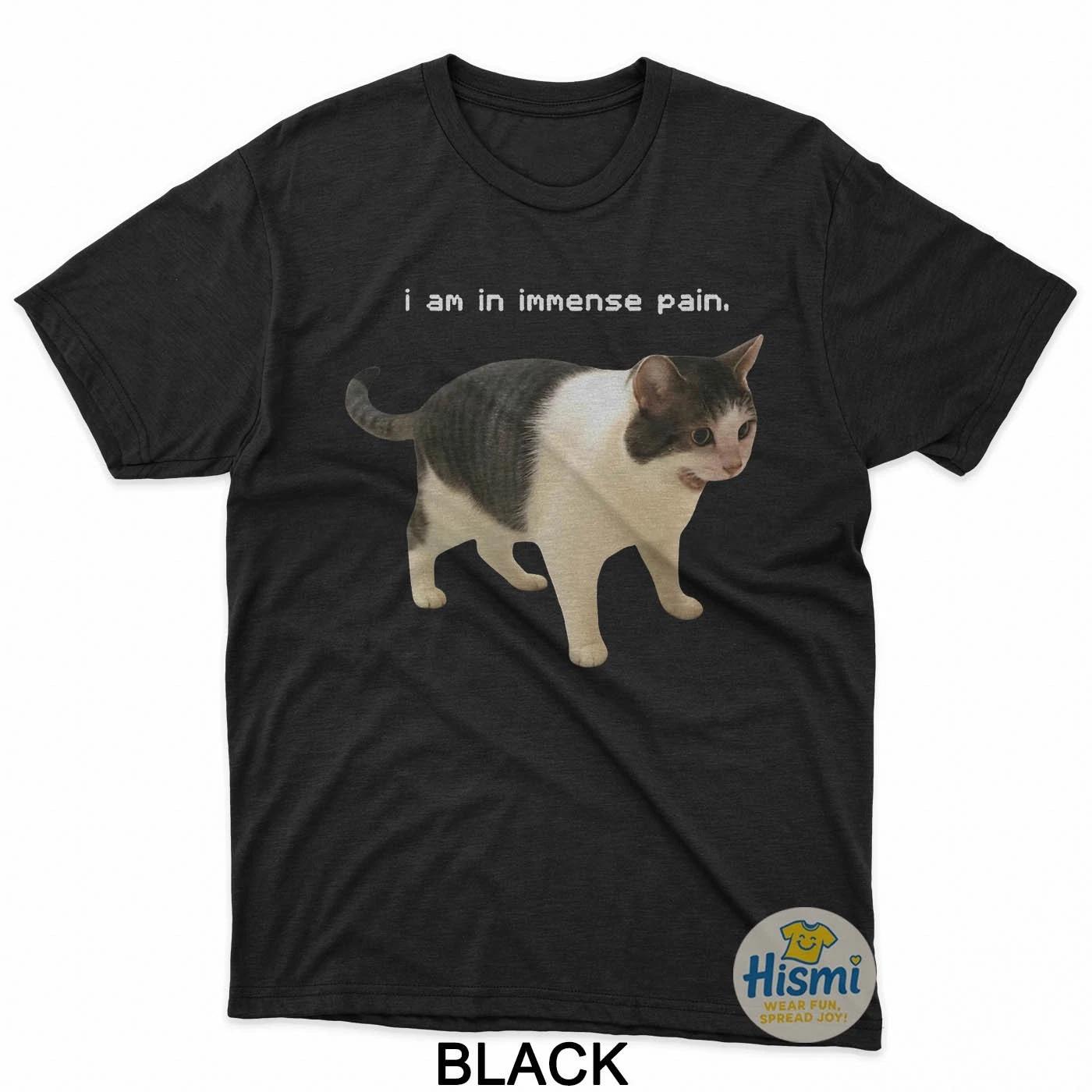 I Am In Immense Pain Cat Meme Sad Funny Quote T-Shirt 3XL
