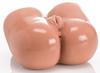 Realistic Masturbator Butt May Vulva and Anus - Zenn - Realistic Masturbators