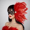 Feather Side Headpiece with Lace Eye Mask for Carnival Parade Masquerade Ball Mardi Gras Party Samba Dance Costume Outfit