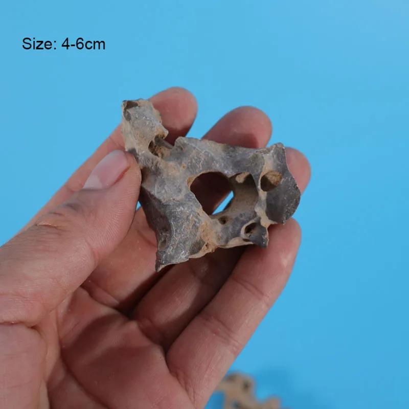 

1pcs 4-6cm Natural Aquarium Decor Stone Rockery Landscaping Fish Tank Microporous Stone Good for Plants Growth 4-6cm 1pcs серый