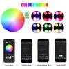 20W RGBW Twinkle Double Head Car Starry Sky Music Control Car Roof Star Fiber Optic Star Ceiling Kit Smart APP Fiber Optic Light