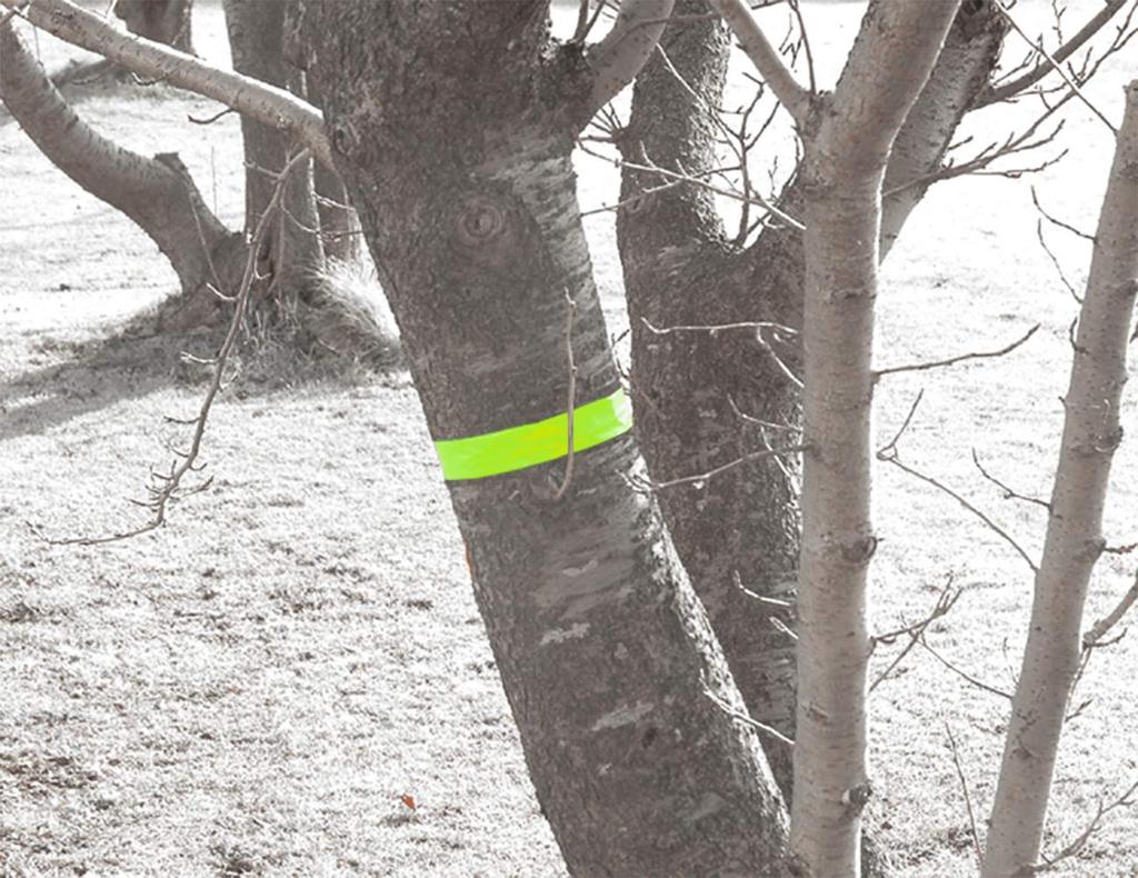 Shinwa Sokutei Marking Tape 30mmX50m Fluorescent Yellow 73799