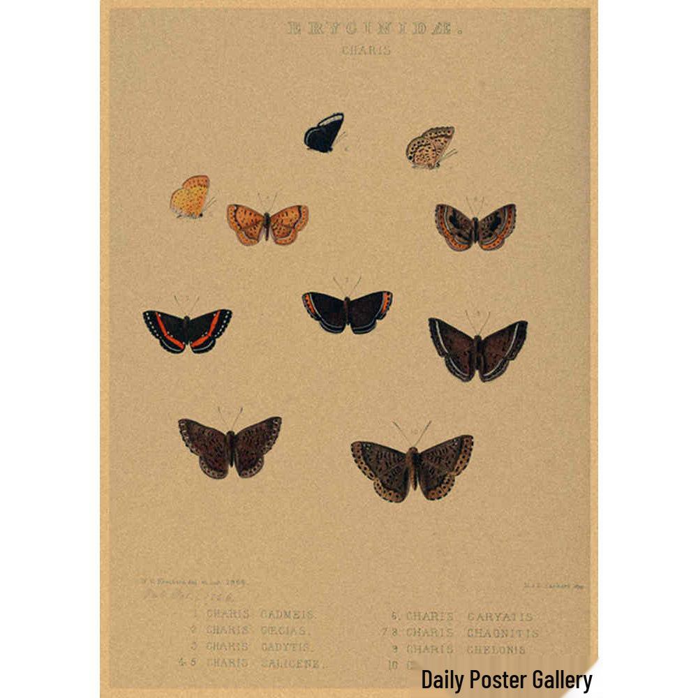 Retro Schmetterlings-Illustrationsposter: Handbemalte Tier-Wandkunst im Vintage-Stil, europäisch & amerikanisch