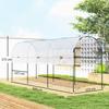 Greenhouse, winterproof, foil greenhouse with Arched roof, ground anchor greenhouse 400 x 123 x 171cm Transparent