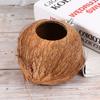 Nid d'Oiseau en Coque de Coco Marron Style Entrée Large Cabane à Oiseaux Lit Maison d'Oiseaux pour Jardin Balcon Extérieur Nid d'Oiseau