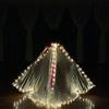 Dance Party LED Wings Lighted Dance Props New LED Belly Dance Accessories Props